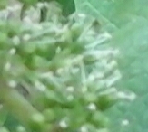 2016-06-12 21.25.22.jpg