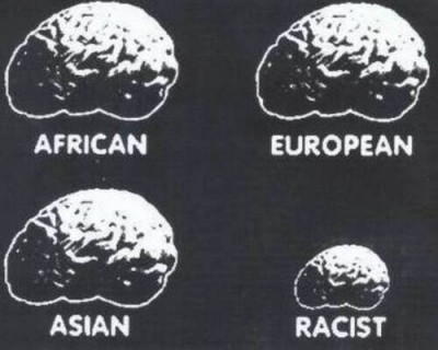 Hersens racisme - ZW.jpg