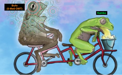 Bufo - Kambo tandem (bewerkt).png