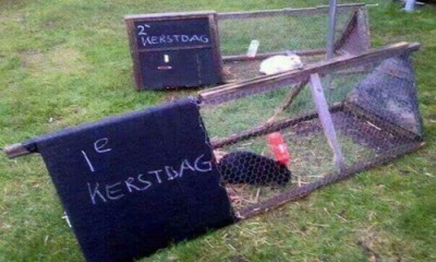 Live and Let Live.jpg