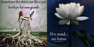No mud no lotus Shit Fertilizer.jpg