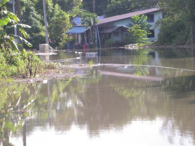 De overstroming van november 2013